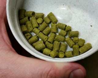 Magnum hops, locked and loaded