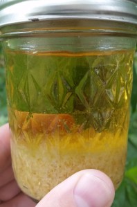 Lemon extract