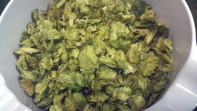 Saaz Hops