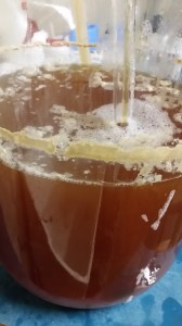 Centennial IPA in the primary fermenter