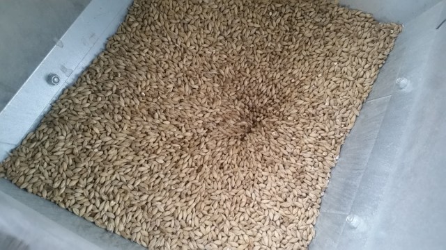 Vienna Malt