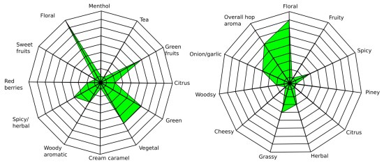 Wild Hop Spider Diagrams