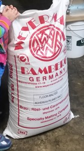 pilsner_malt