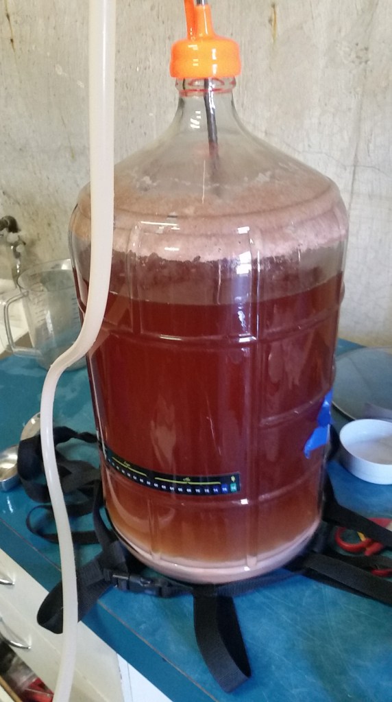 Raspberry Belgian, transferring to the keg