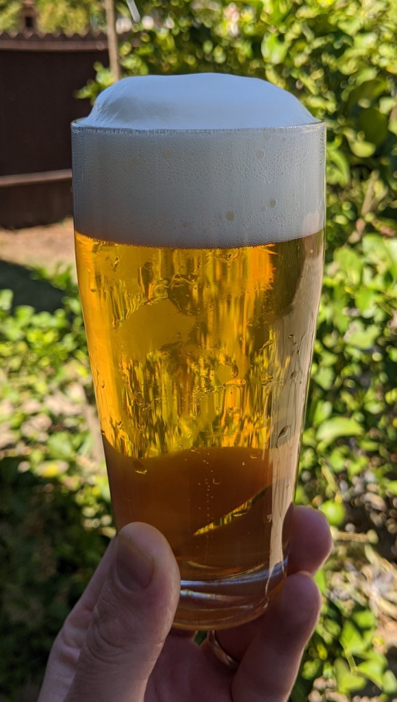golden lager with frothy white head, held aloft in clear Willi Becher glass against green sunlit yard