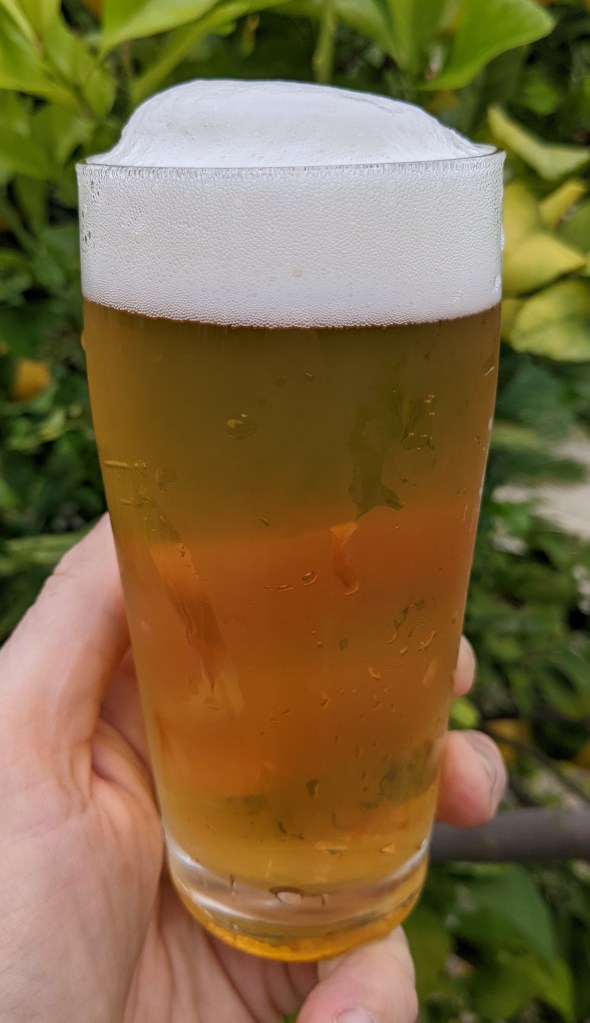 clear, yellow beer with white head, poured into a clear glass, held in a hand