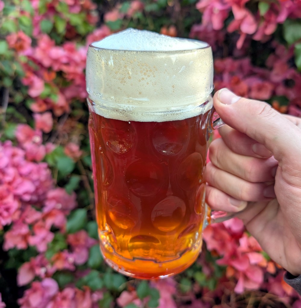 amber beer with ivory head held aloft in dimpled German mug, with background of pink flowers