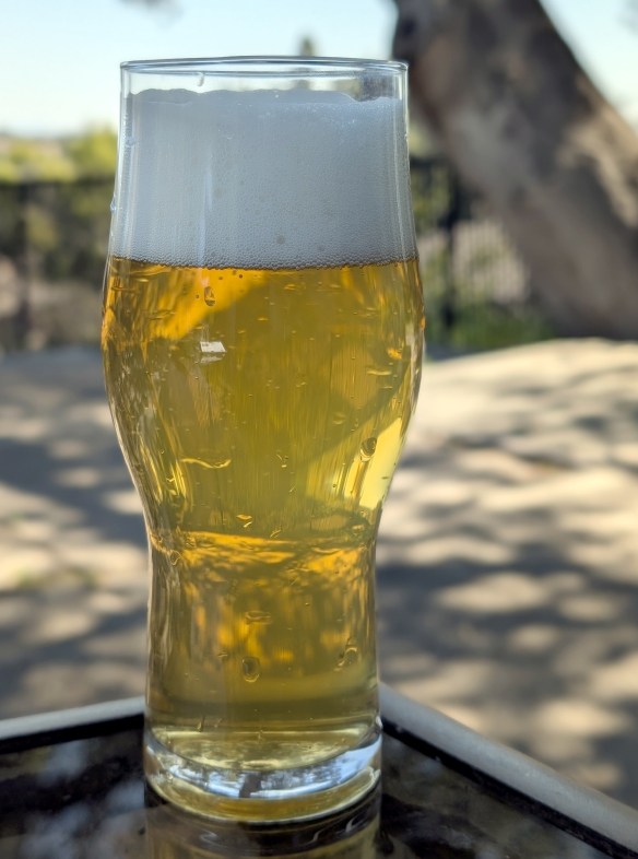 pale yellow beer with white head in glass on table during sunny afternoon